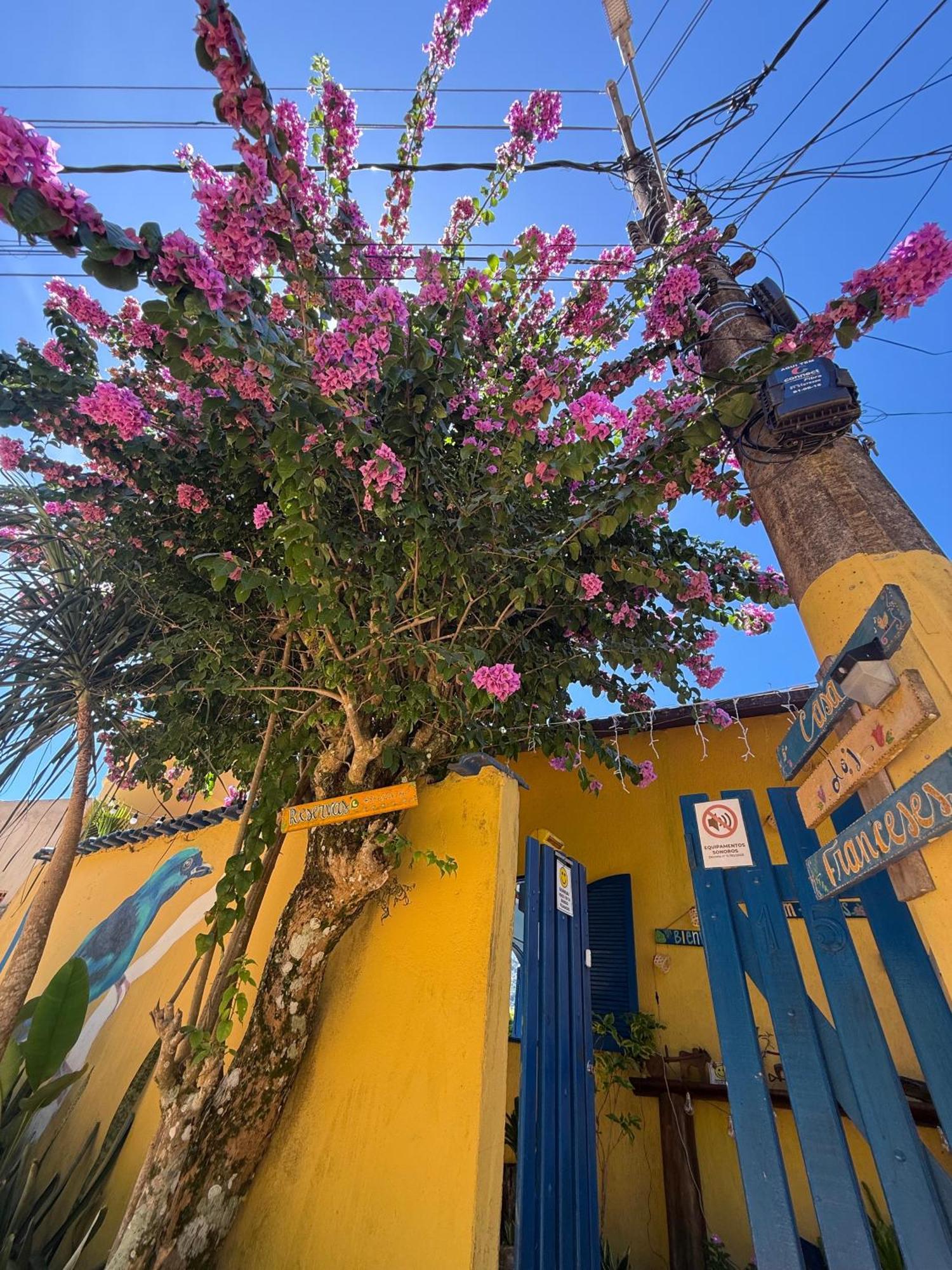 Casa Dos Franceses Ilha Grande别墅 外观 照片